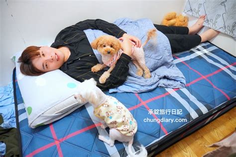 動物死了如何處理|寵物過世怎麼辦？盤點4種「處理方法＋費用參考」讓毛孩安穩回。